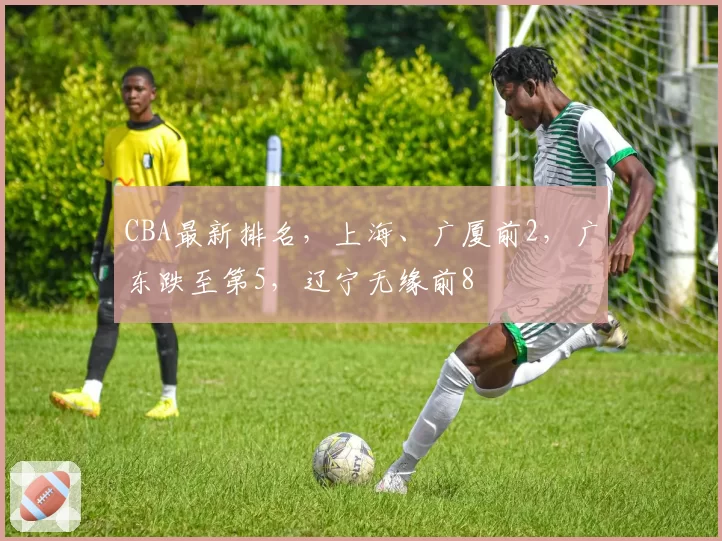 CBA最新排名，上海、广厦前2，广东跌至第5，辽宁无缘前8
