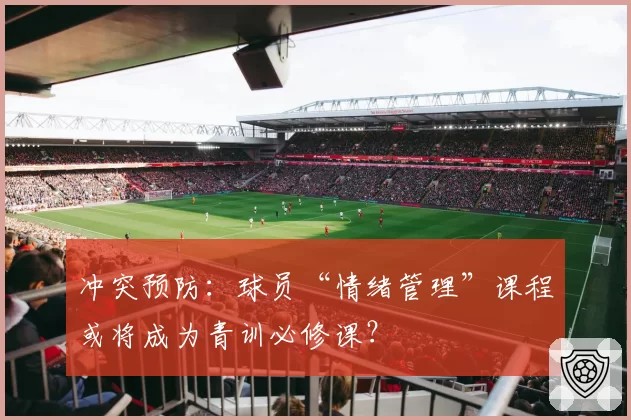 冲突预防:球员“情绪管理”课程或将成为青训必修课?