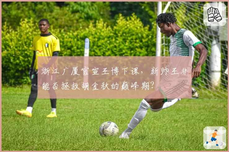 浙江广厦官宣王博下课，新帅王非能否拯救胡金秋的巅峰期？